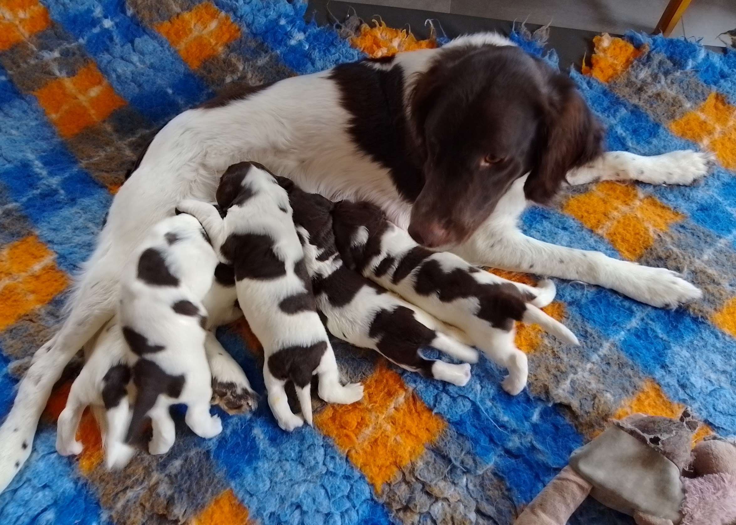 img_20250224_105243_hdr